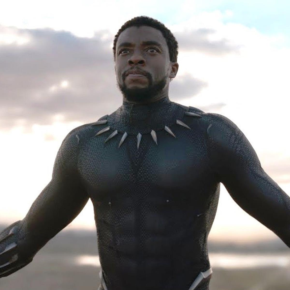 5 Fakta Menarik T Challa Sang Black Panther Perkasa Showbiz Liputan6 Com