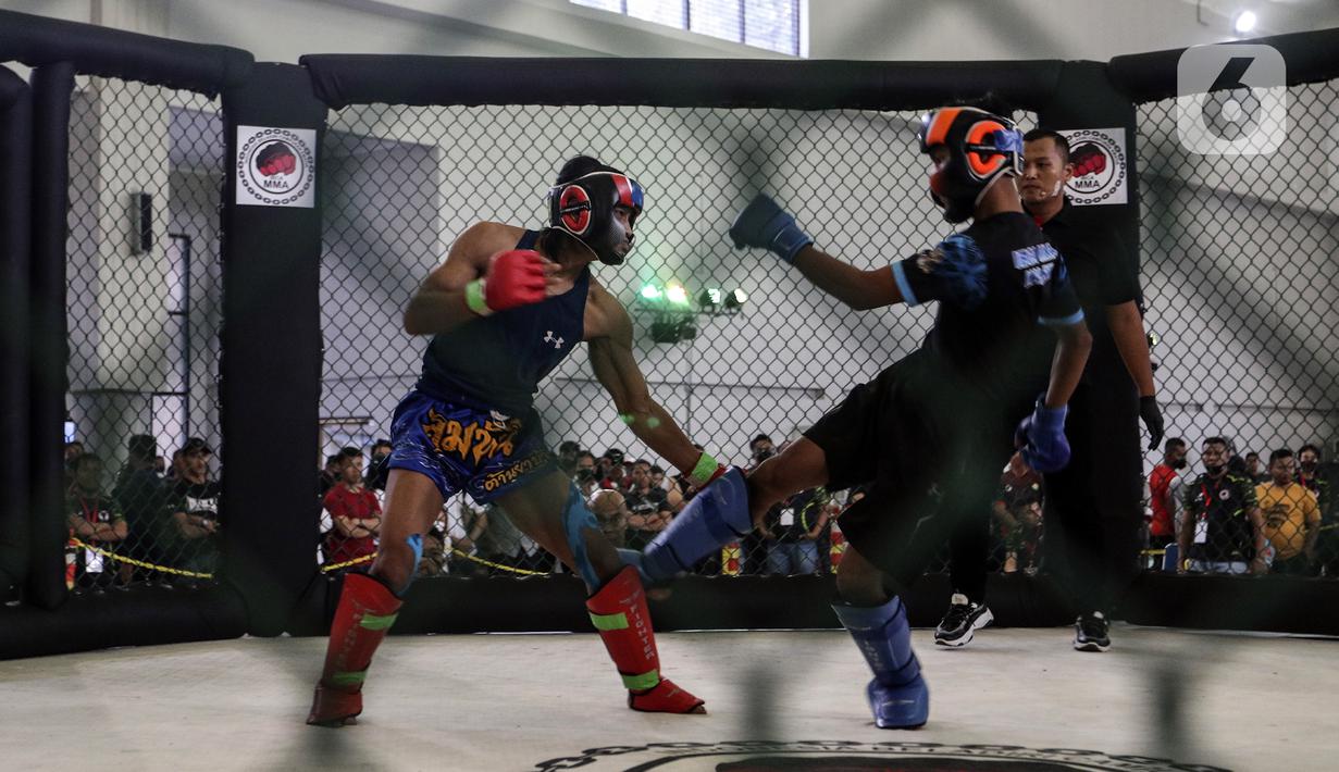 300 Atlet Ikuti Kejuaraan Nasional Ibca Mma 2022 Foto Liputan6 Com