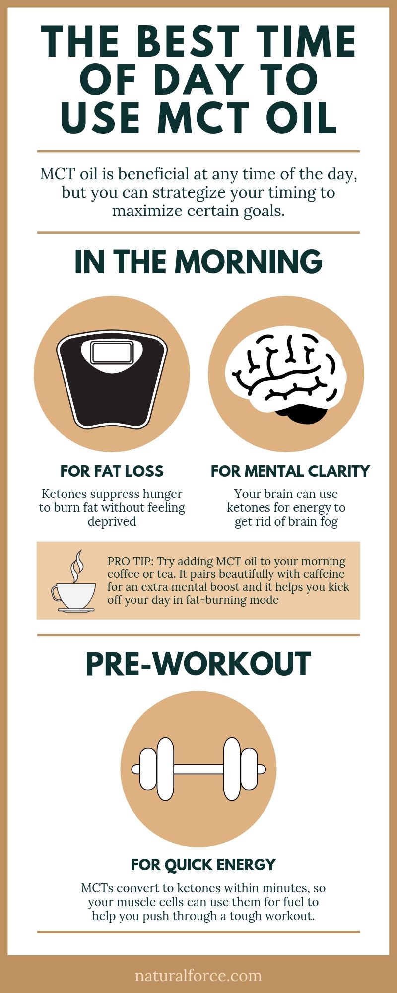 The Best Time Of Day To Use Mct Oil Tips From The Pros