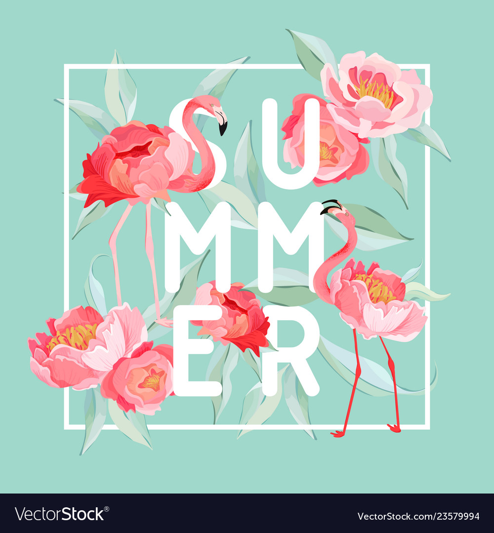 Summer Tropical Flamingo Wallpaper