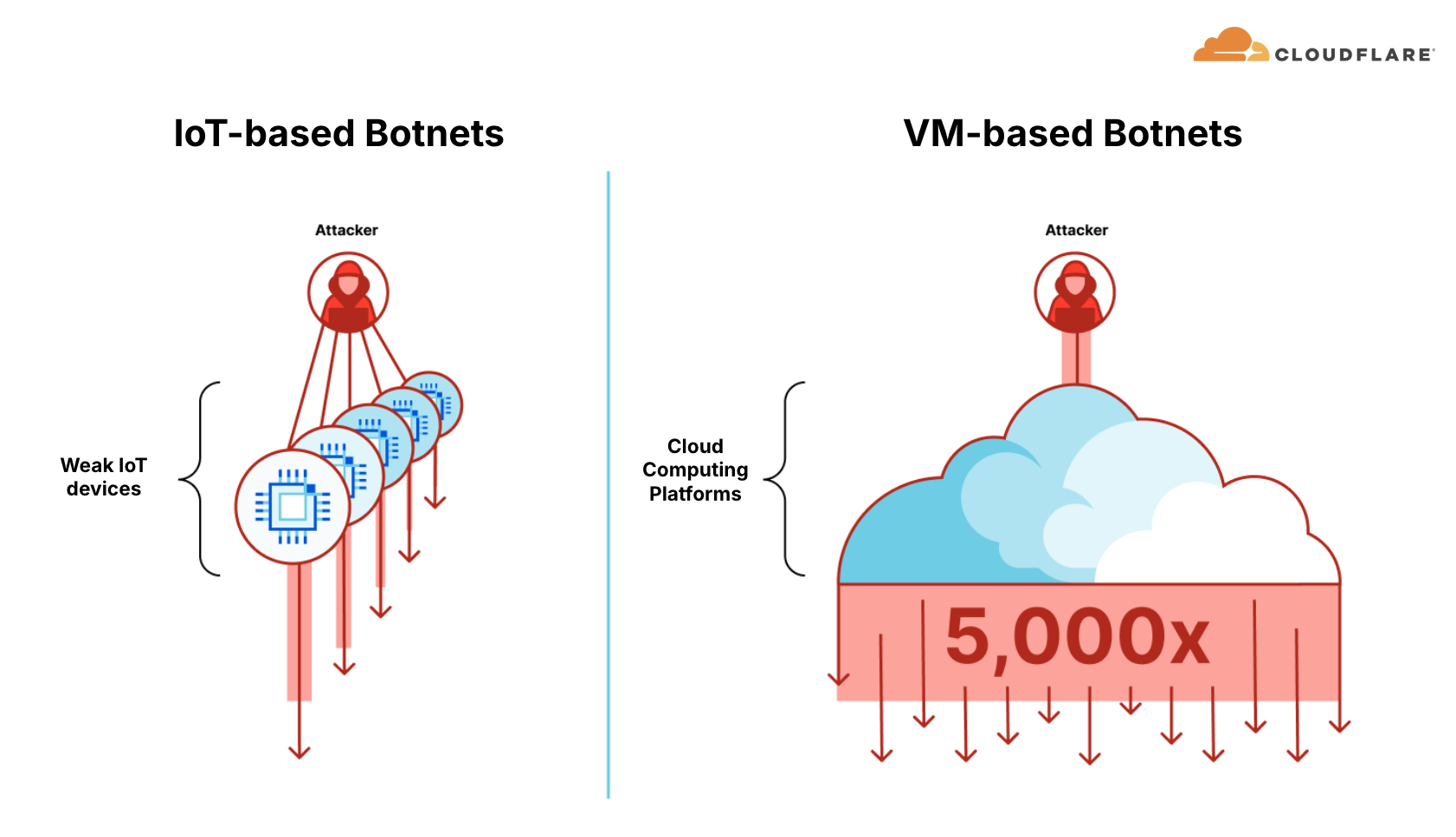 IoT-based botnets versus VM-based botnets
