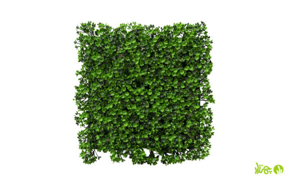 دیوار سبز مصنوعی مدل شکوفه