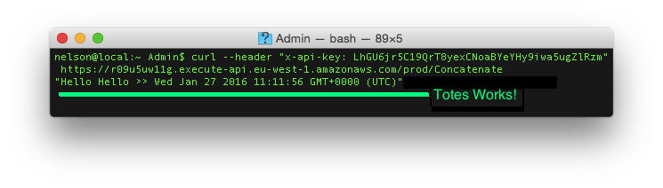aws-lambda-curl-with-api-key-works