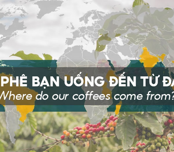 Hạt cà phê của chúng ta bắt nguồn từ đâu? – Phần 2