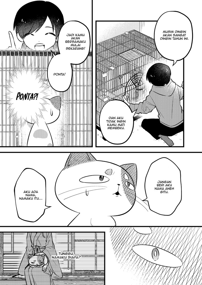 Spoiler Manga The Story of a Cat That Has Lived for 100 Years 3