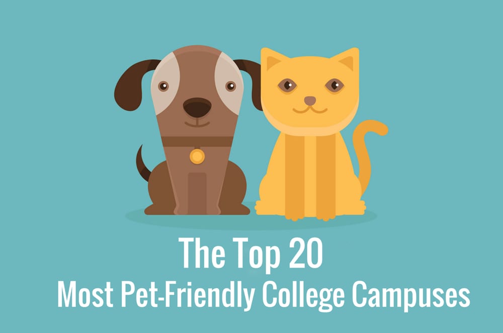 The 20 Most Pet-Friendly College Campuses - College Rank
