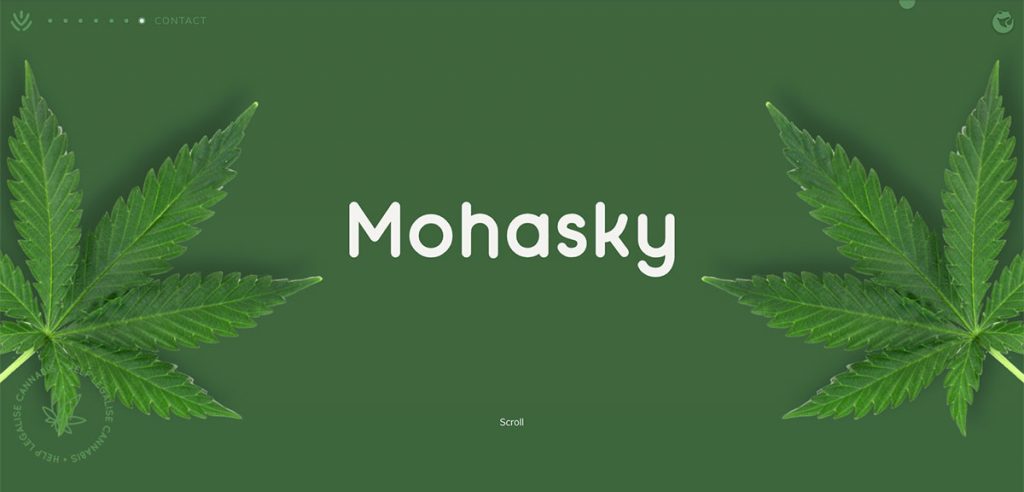Mohasky 