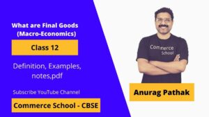 what are final goods in macroeconomics class 12 CBSE board
