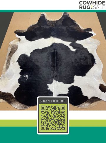 Large Traditional Bw Cowhide 7 X 8 Bw 19 500