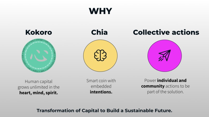 Kokoro 心  – screenshot 2