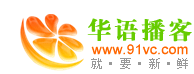 Logo-91vc-com.gif