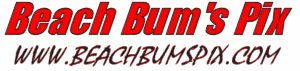 Logo-beachbumspix-com.gif