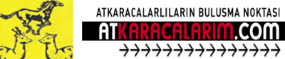 Logo-atkaracalarim-com.gif