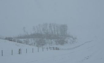 Tempête hivernale