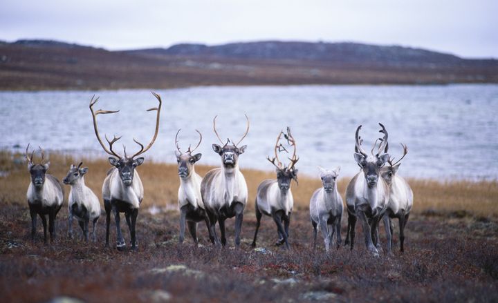 Northwest Territories The Canadian Encyclopedia
