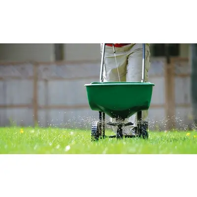 16 32 6 Turf Starter Fertilizer Halifax Seed