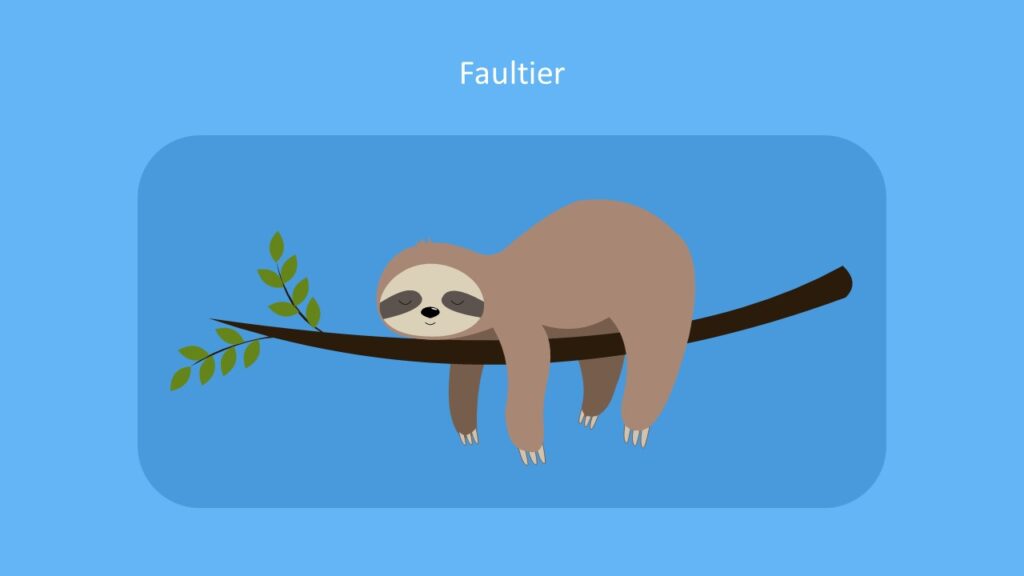 Faultier Einfach Erklart Mit Steckbrief Mit Video
