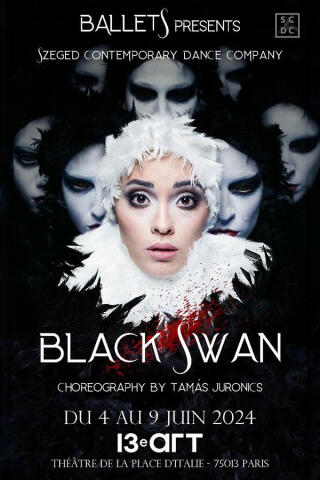 black_swan_theatre_le_13_eme_art_spectacle_affiche_1719833975