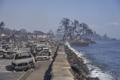 Maui Fire Victims Sue Insurers To Make Sure They Get Fully Paid In Any Settlement