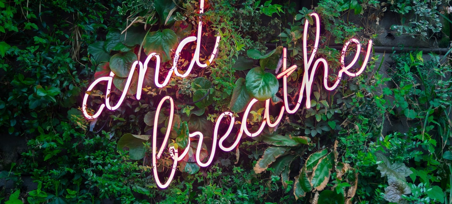 Bronchitis Ratgeber Symptome Behandlung Donn Apotheke St Michaelisdonn