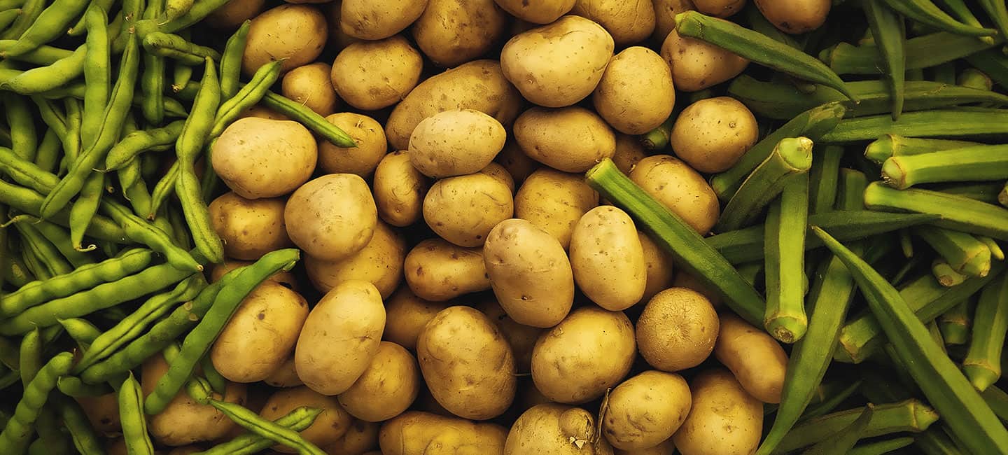 Vitamin B1 Ratgeber Mangel Erkennen Behandeln Wolfs Apotheke Bredstedt