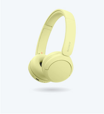 product image of WH-CH520 