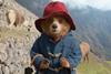 'Paddington In Peru'