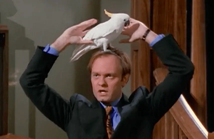 David Hyde Pierce in "To Kill a Talking Bird" (Photo: NBC)
