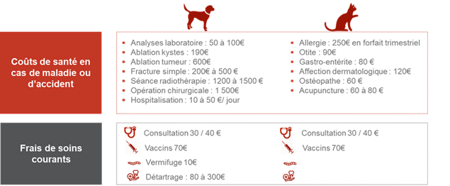 Assurance Chien Et Chat Generali