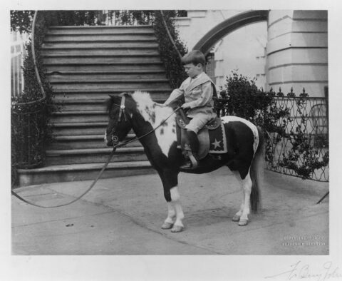 Quentin Roosevelt on his pony