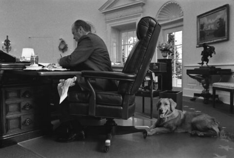 Liberty: America's Dog - Photo 3