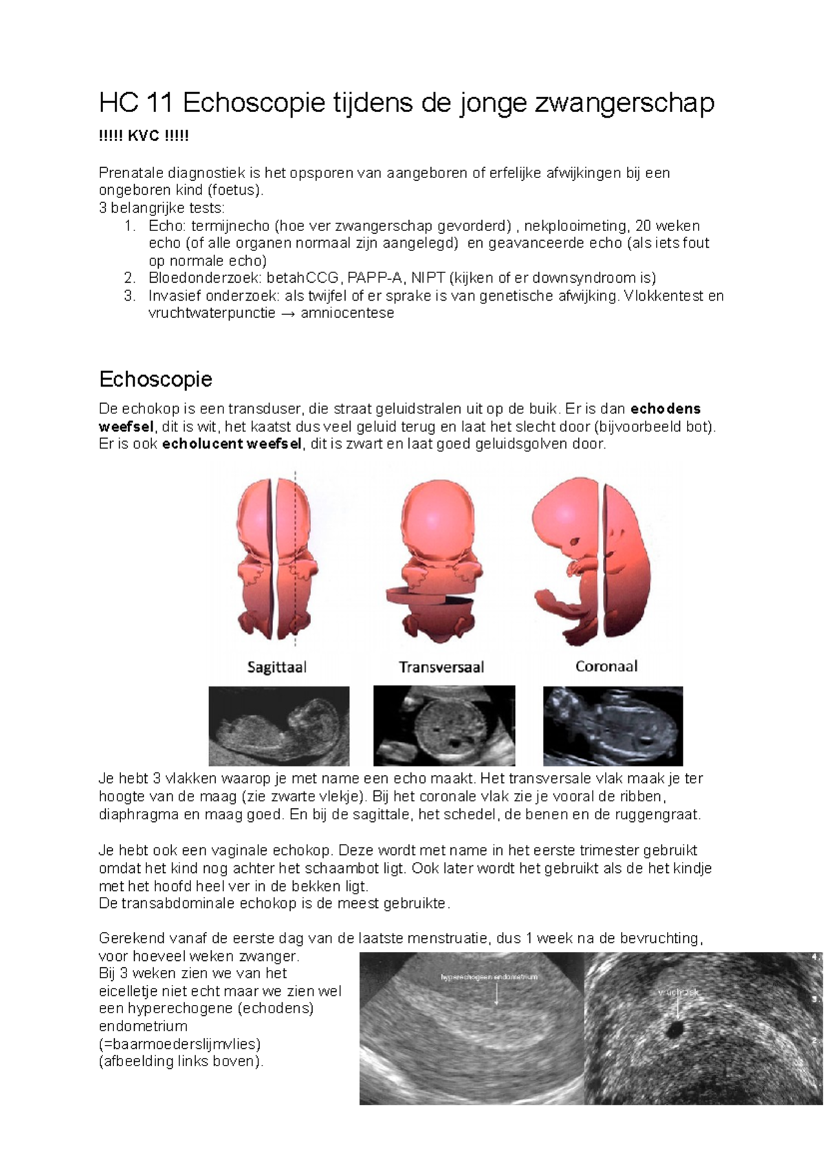 Mens Tot Cel Samenvatting Hc 11 Echoscopie Tijdens De Jonge Zwangerschap Hc 11 Echoscopie Tijdens Studeersnel