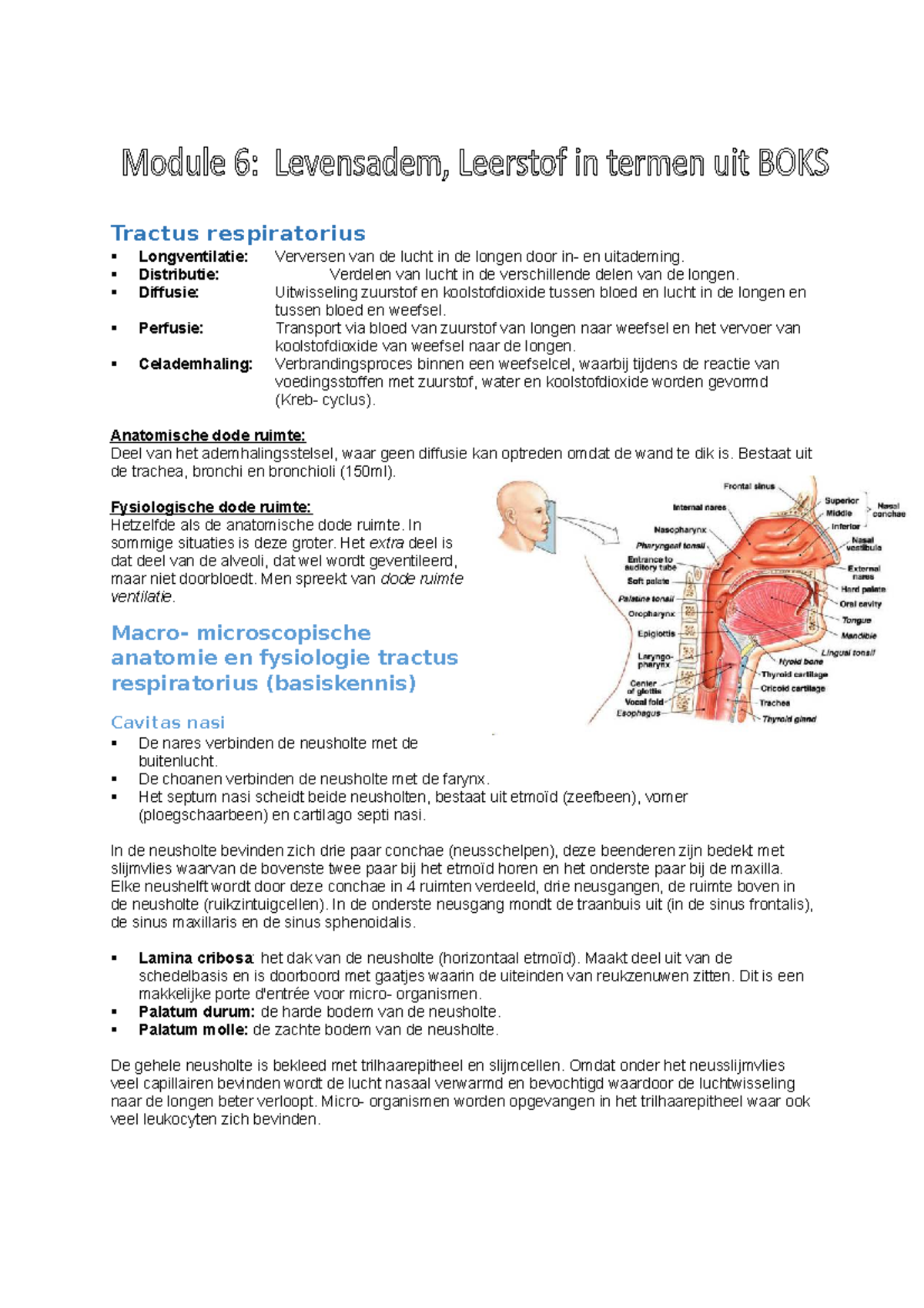 Boks Leerstof Module 6 Samenvatting Verloskunde Tractus Respiratorius Longventilatie Studeersnel