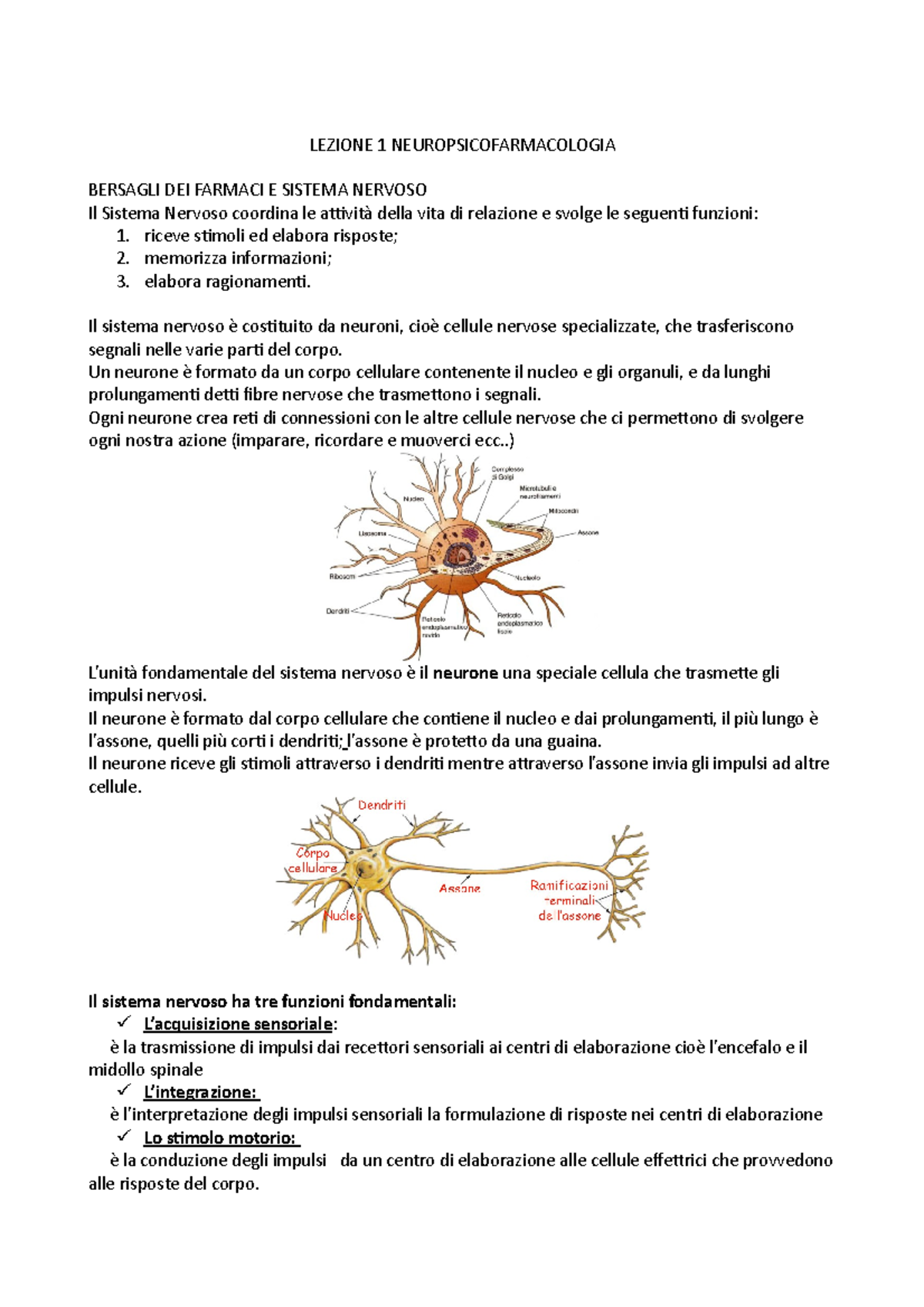 Lezione 1 Neuropsicofarmacologia Lezione 1 Neuropsicofarmacologia Bersagli Dei Farmaci E Sistema Studocu