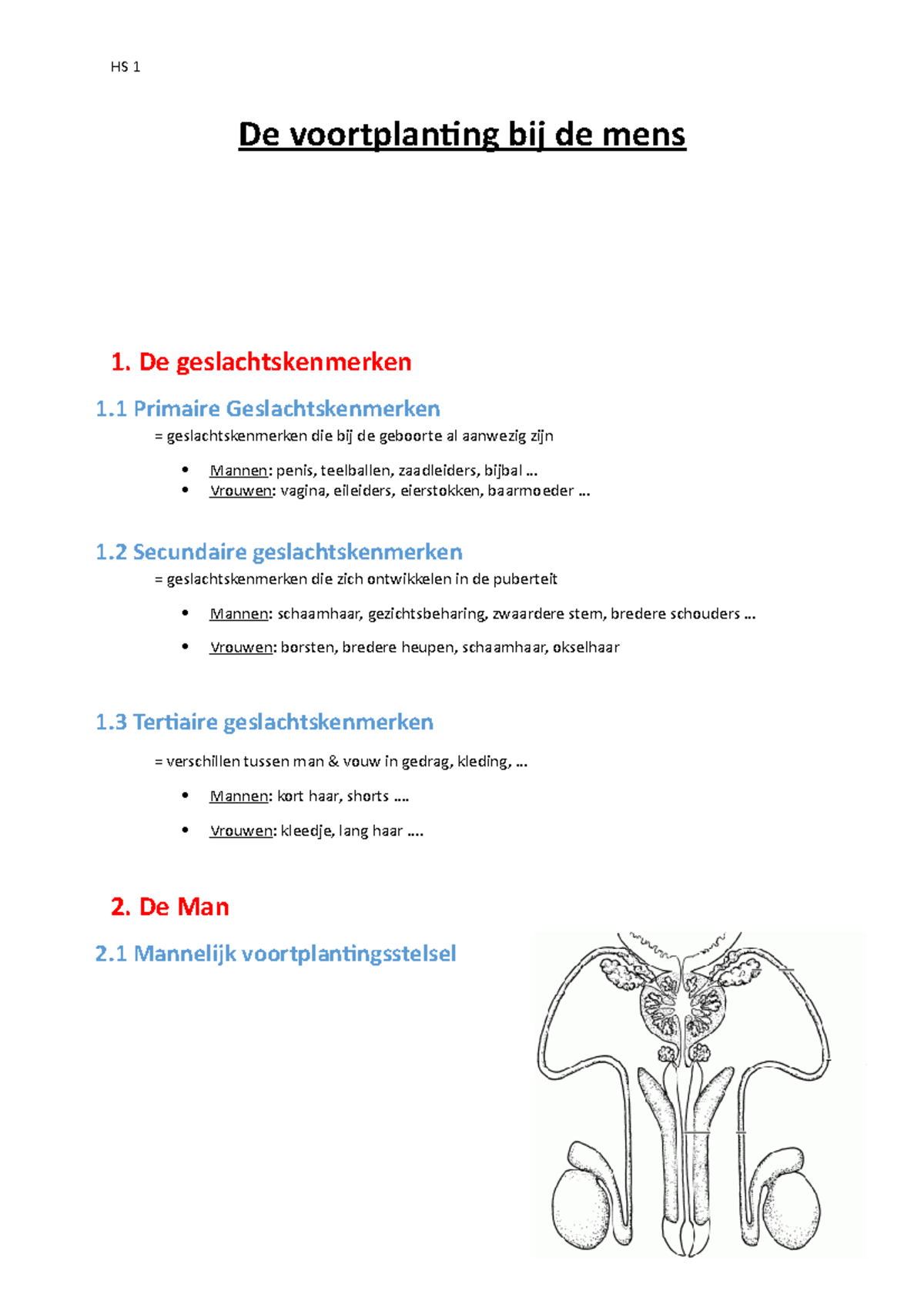 Samenvatting Thema 1 Hs 1 De Voortplanting Bij De Mens 1 De Geslachtskenmerken 1 Primaire Studeersnel