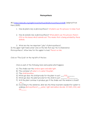 Photosynthesis Biology Photosynthesis 1 Pbs Wgbh Nova Methuselah Photosynthesis Html Adapted Studocu