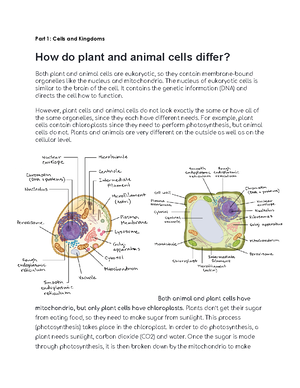 Cells Structures And Functions Part 1 Cells And Kingdoms How Do Plant And Animal Cells Studocu