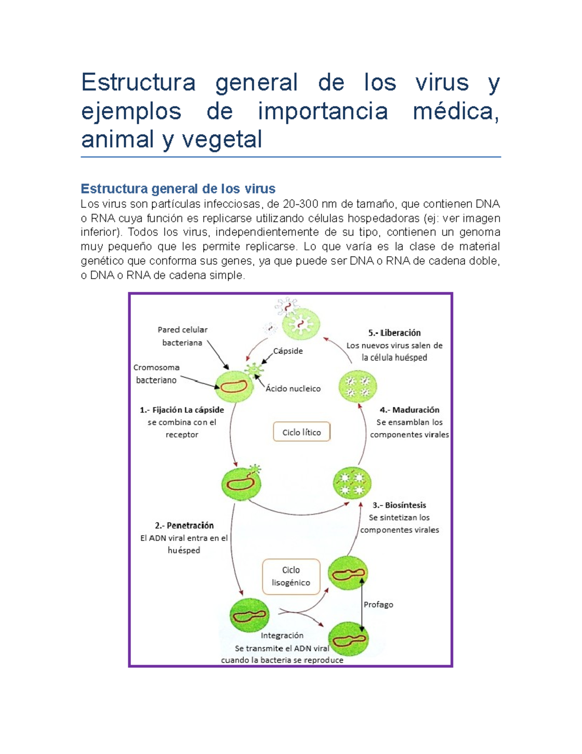 ejemplos de virus