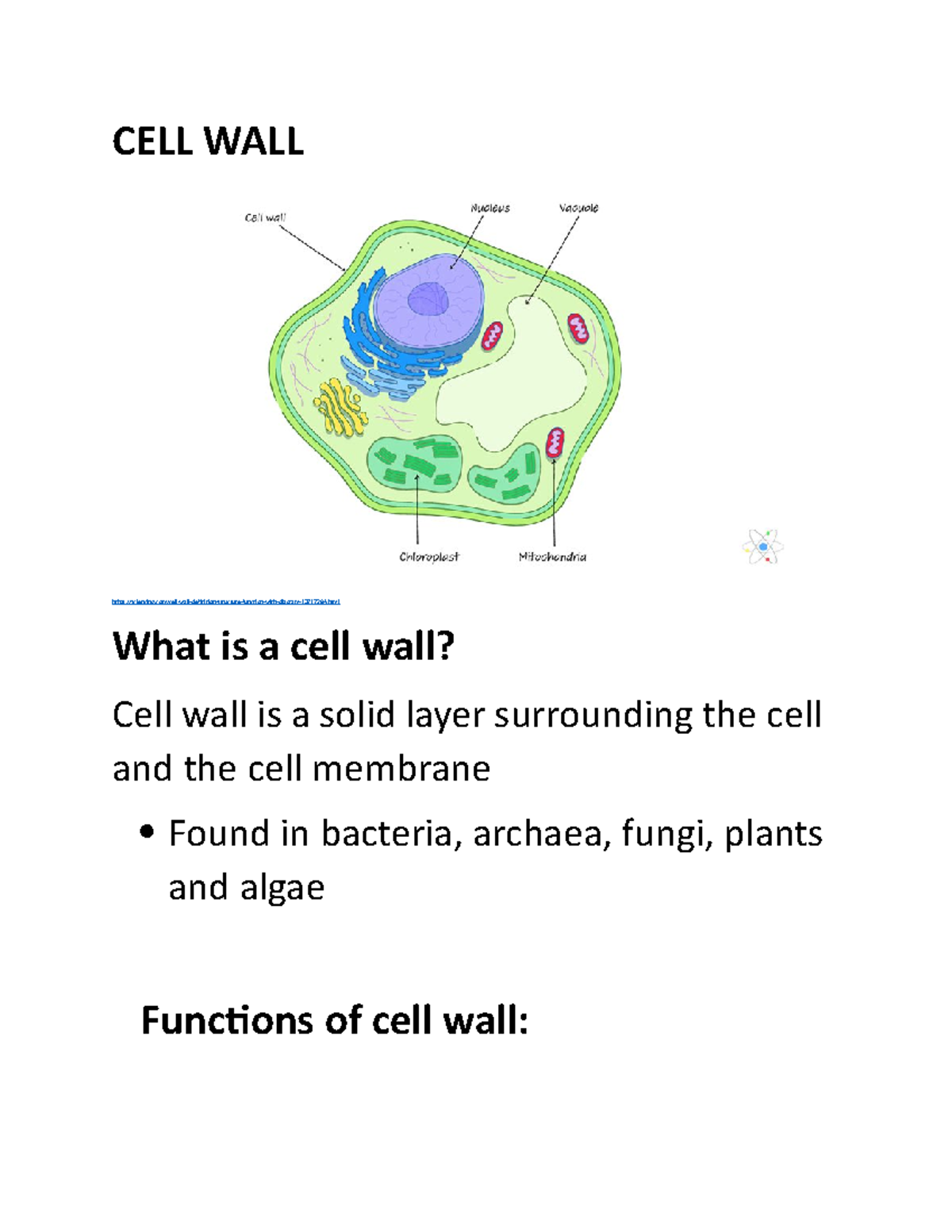 Cell Wall Summary Cell Wall Explained In Detail With Images Labeling Practice Biology I Cells Studocu