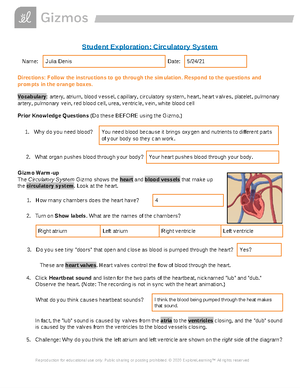 Answers To Gizmo Circulatory System Student Exploration Circulatory System Directions Follow The Studocu