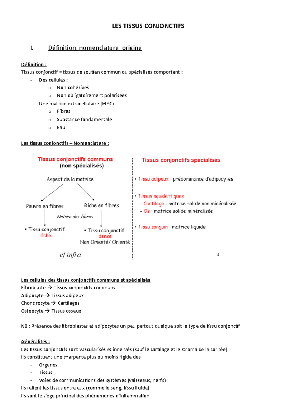 08 Tissus Conjonctifs Les Tissus Conjonctifs I Definition Nomenclature Origine Definition Studocu