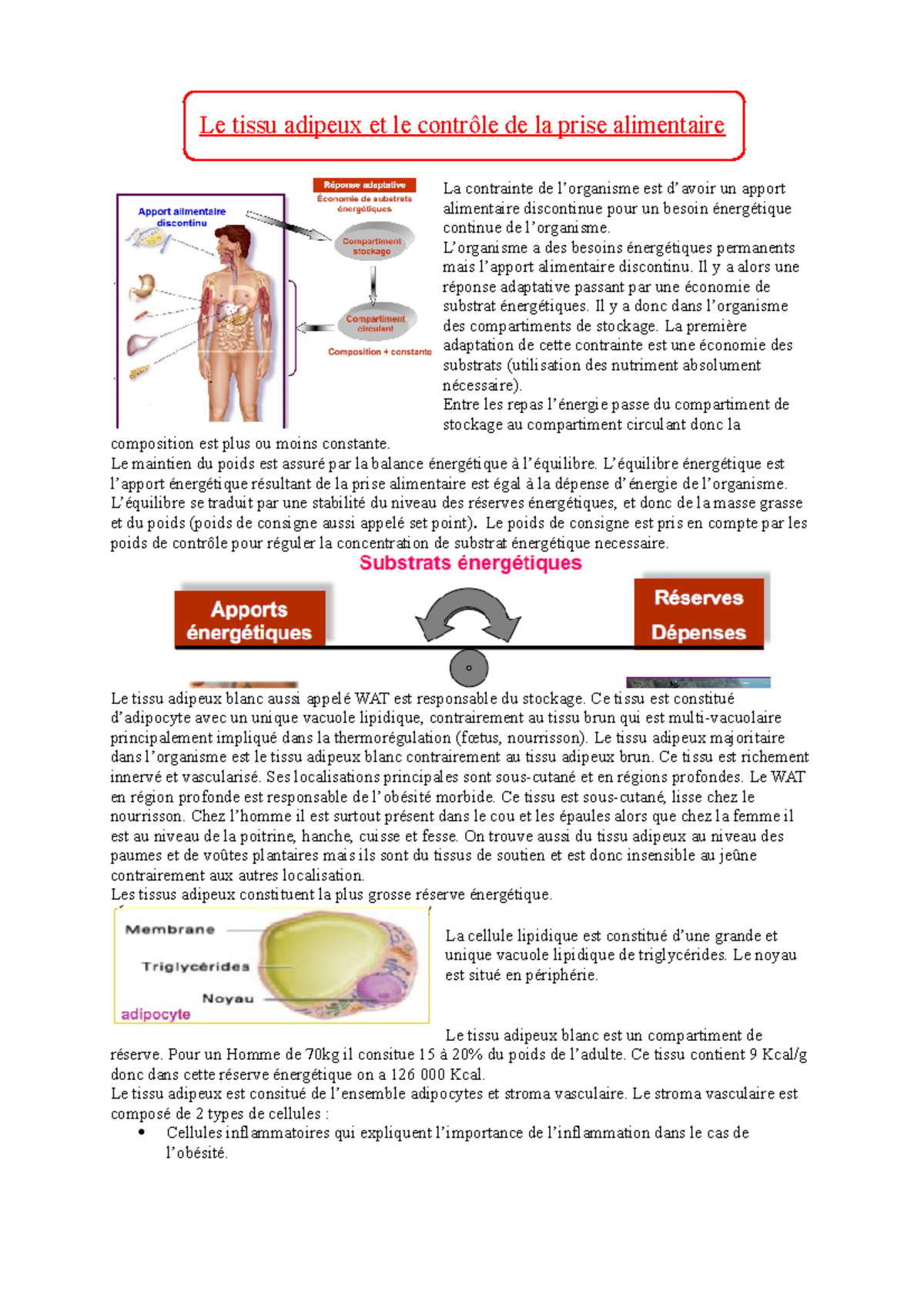 Chapitre 8 Le Tissu Adipeux Et Le Controle De La Prise Alimentaire Le Tissu Adipeux Et Le Controle Studocu