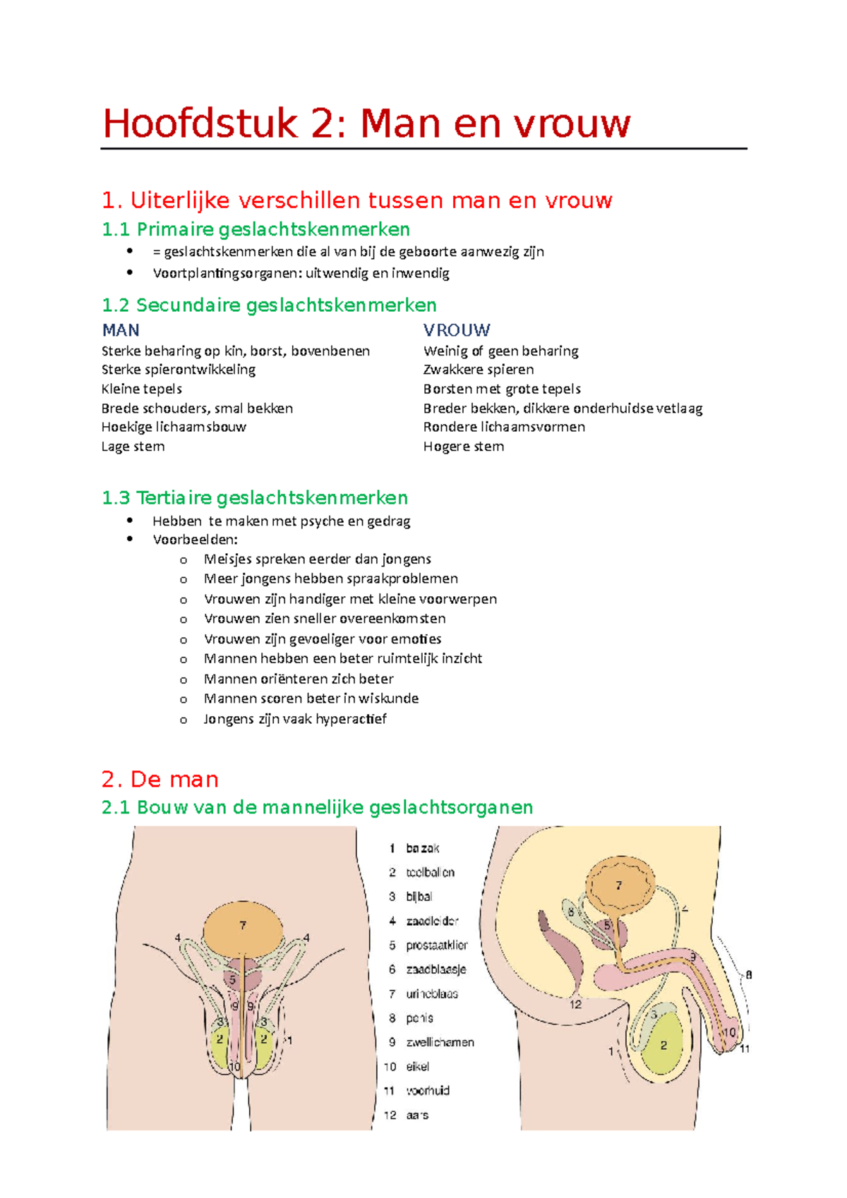 Hst 2 Samenv Hoofdstuk 2 Man En Vrouw 1 Uiterlijke Verschillen Tussen Man En Vrouw 1 Primaire Studocu