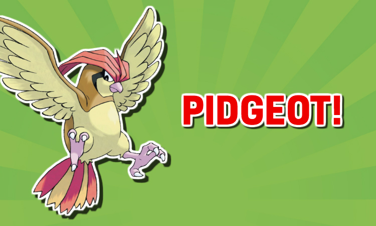 Pidgeot Pokemon