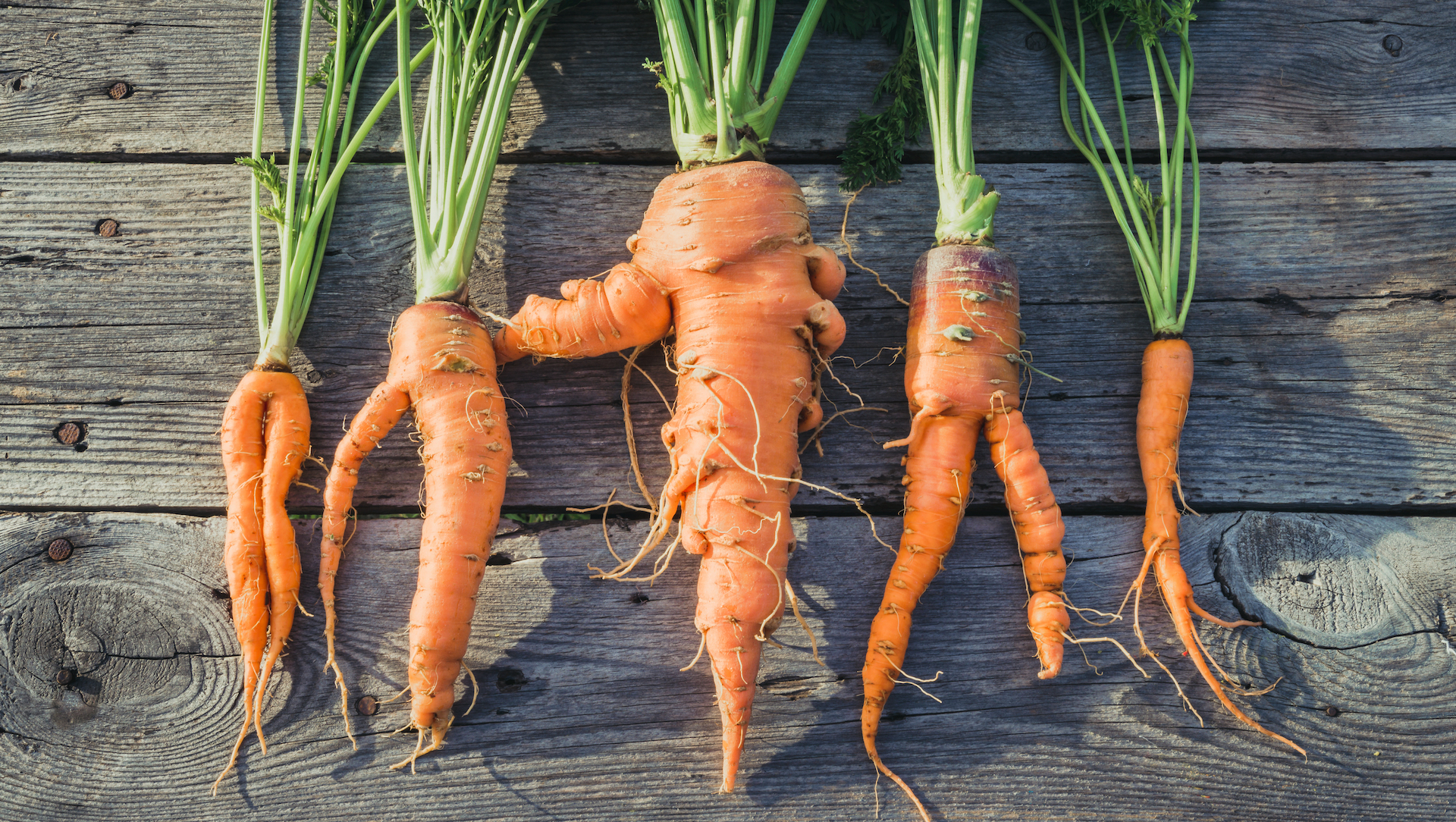 Some weird looking carrots