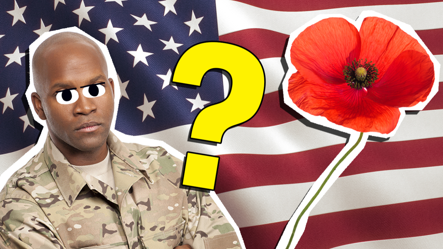 Ultimate Veterans Day Trivia Questions