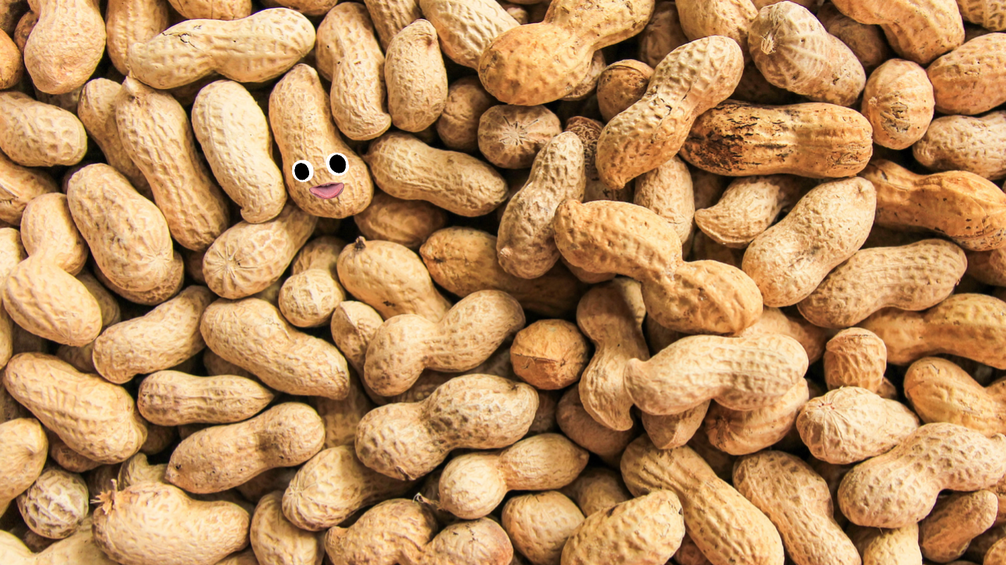 Peanuts