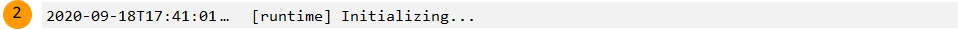 Runtime initialization