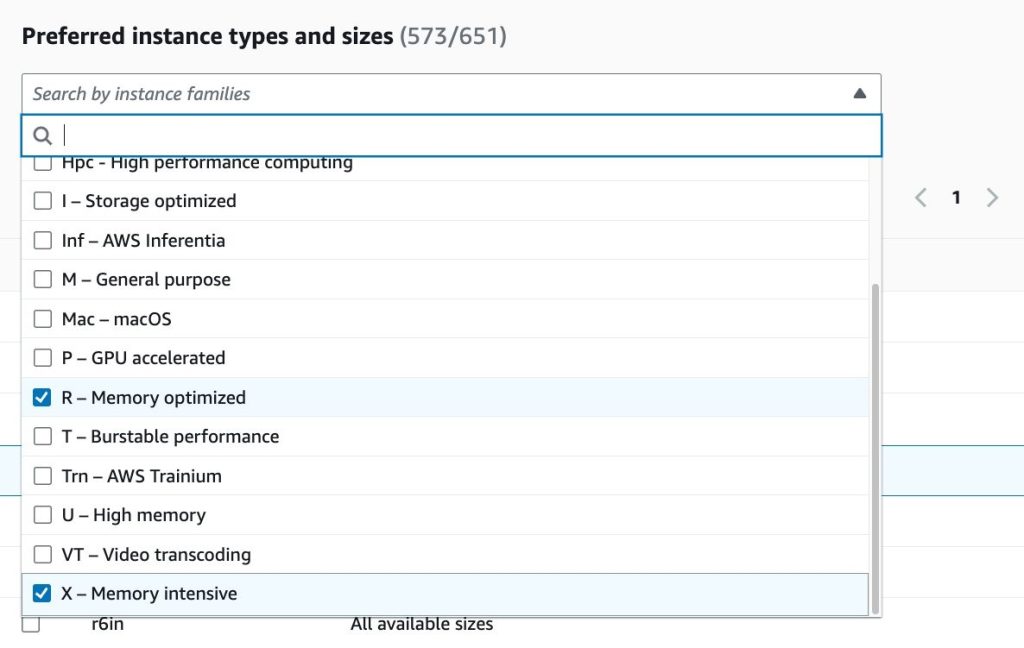 Figure 4. Preferred instance family dropdown list