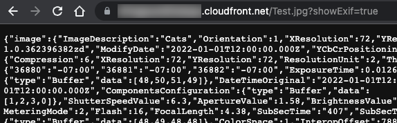 Adding showExif=true to the public URL returns the image's EXIF data in JSON format